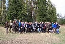 Studenci sadzili las w Bieszczadach