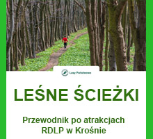 Leśne ścieżki - przewodnik po atrakcjach