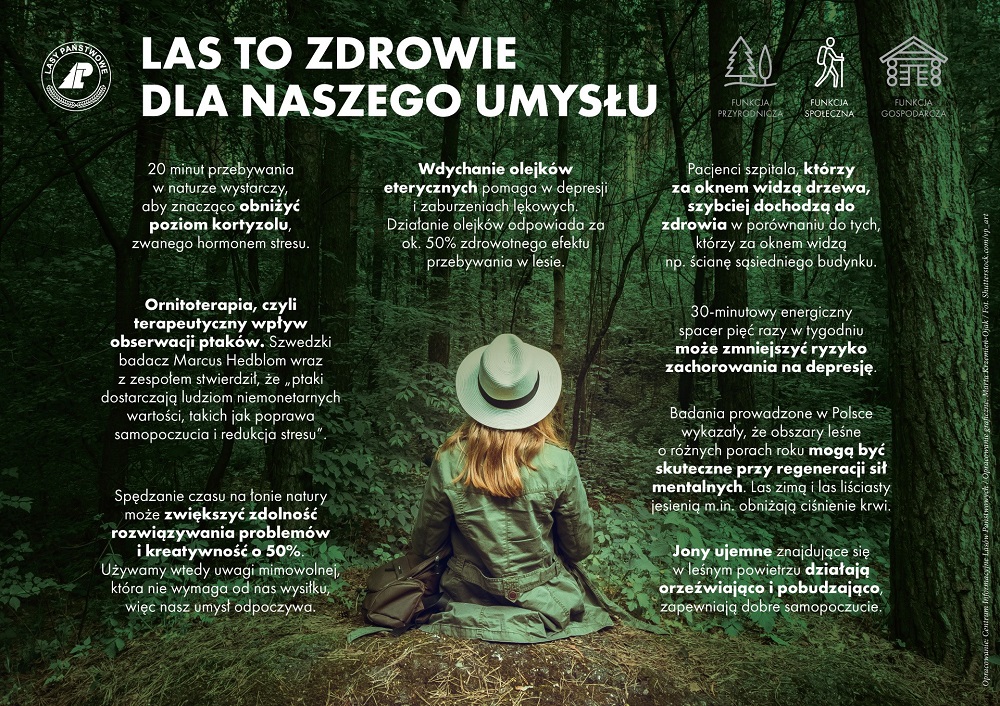 Na zdjęciu kobieta odwrócona tyłem wsród zielonego lasu