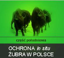 Ochrona żubra w polsce