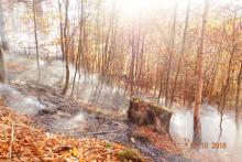 Pożar lasu w Bieszczadach