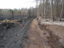 Rośnie zagrożenie pożarowe w podkarpackich lasach