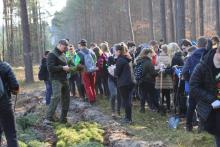Pod Kolbuszową rośnie „las pełen energii”