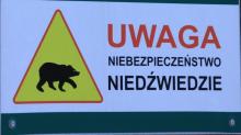 Uwaga na niedźwiedzie!