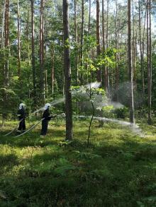 Ćwiczenia pożarnicze w Nadleśnictwie Leżajsk