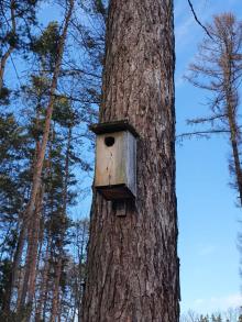 Ochrona lasu w Nadleśnictwie Oleszyce