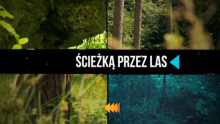 „NA STRAŻY LASU” NA ANTENIE TVP3 RZESZÓW