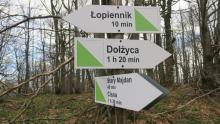 Nowym szlakiem na Łopiennik