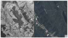 Historia podkarpackich lasów na zdjęciach lotniczych z 1944 roku