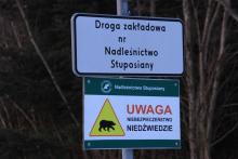 Uwaga na niedźwiedzie!