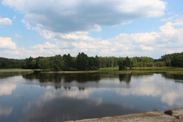 Zbiornika&#x20;Czerniawka&#x20;-&#x20;Nadleśnictwo&#x20;Jarosław&#x20;&#x28;&#x20;archiwum&#x20;RDLP&#x29;&#x2e;