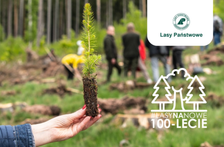 "Lasy na nowe 100-lecie” – wielka akcja sadzenia drzew z okazji Międzynarodowego Dnia Lasów