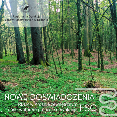 Nowe doświadczenia w zakresie certyfikacji FSC
