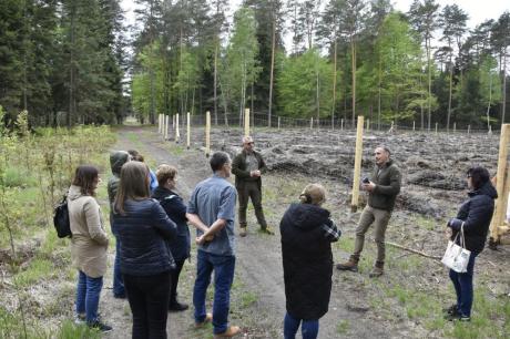 Nowy kierunek edukacji leśnej w Nadleśnictwie Głogów – warsztaty dla nauczycieli.