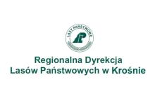Zatrzymać niedźwiedzia w lesie
